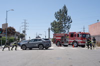 Filename=178891_0142.jpg
Filesize=4320KiB
Dimensions=3000x2000
Date added=Oct 17, 2025 178891_0142.jpg